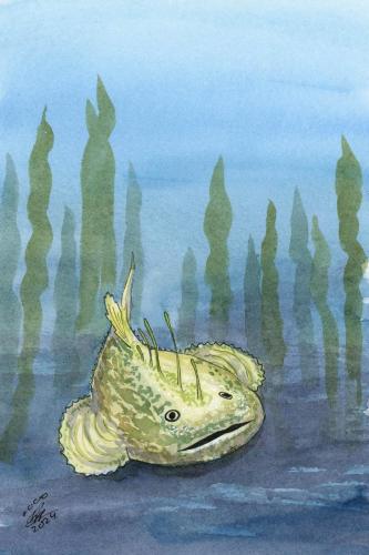 2024 01.23 Monkfish 4x6 web