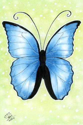 2024 02.03 BlueButterfly 4x6 web