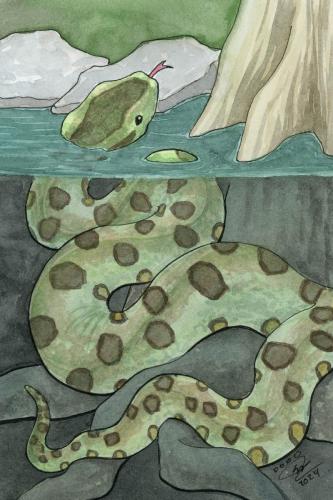 2024 02.08 Anaconda 4x6 web