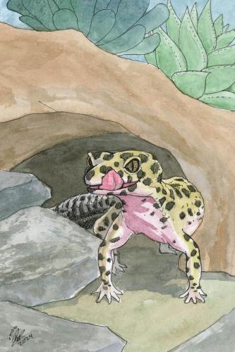 2024 02.10 LeopardGecko 4x6 web