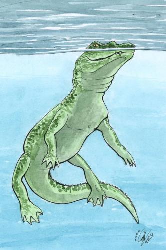 2024 02.13 Crocodile 4x6 web