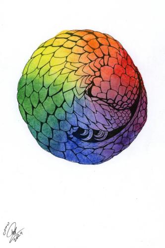 2024 02.17 Pangolin 4x6 web