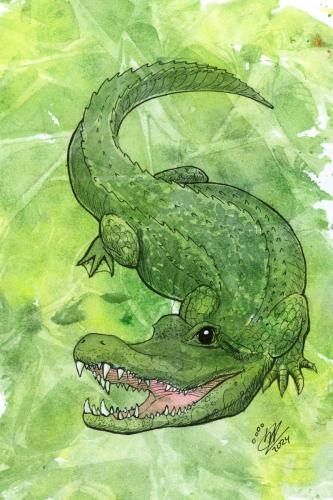 2024 02.18 Alligator 4x6 web