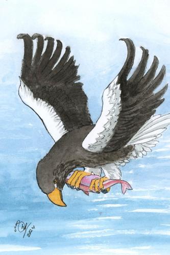 2024 02.20 StellarsSeaEagle 4x6 web