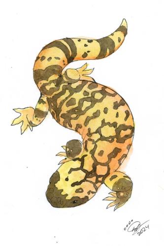 2024 02.21 GilaMonster 4x6 web