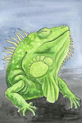 2024 02.25 Iguana 4x6 web