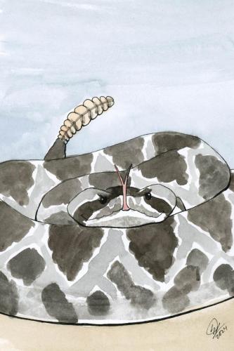 2024 02.26 EasternDiamondbackRattlesnake 4x6 web