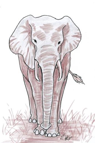 2024 03.07 Elephant 4x6 web