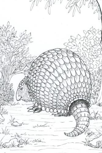 2024 03.09 Glyptodon 4x6 web