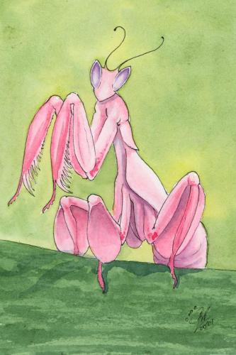 2024 04.11 OrchidMantis 4x6 web