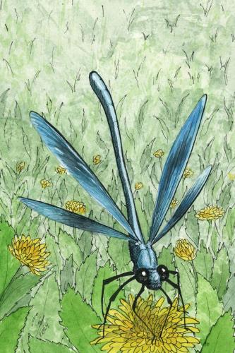 2024 04.21 BeautifulDemoiselleDamselfly 4x6 web