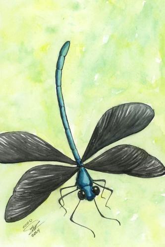 2024 04.25 EbonyJewelwingDamselfly 4x6 web