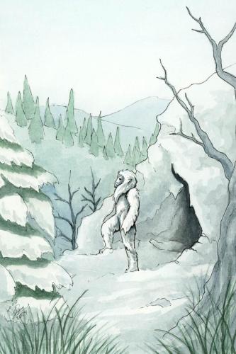 2024 05.24 Yeti 4x6 web