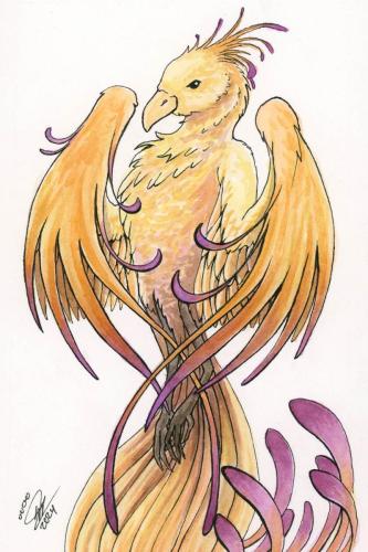 2024 05.30 pheonix 4x6 web