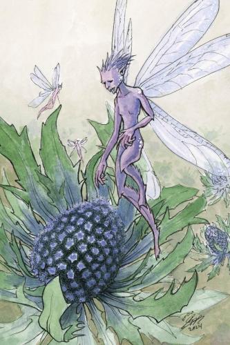 2024 05.31 pixie 4x6 web