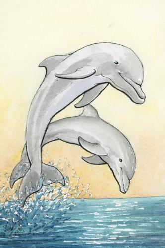 2024 06.05 dolphin 4x6 web