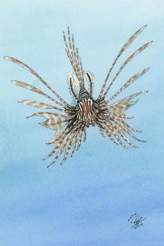 2024 06.10 lionfish 4x6 web