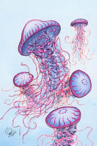 2024 06.18 jellyfish 4x6 web