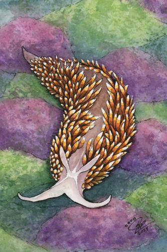 2024 06.19 flamebacknudibranch 4x6 web