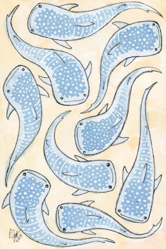 2024 06.20 whaleshark 4x6 web