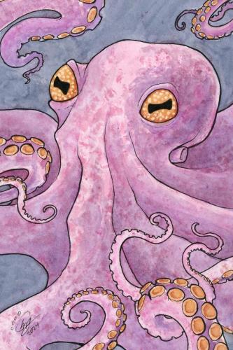 2024 06.23 Octopus 4x6 web