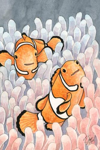 2024 06.25 clownfish 4x6 web