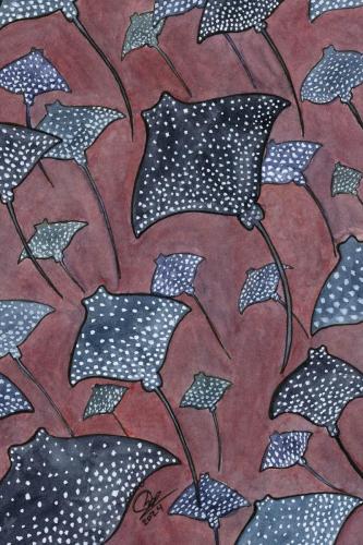 2024 06.27 spottedeagleray 4x6 web