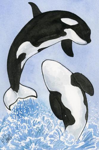 2024 06.30 orca 4x6 web