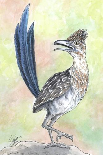2024 07.01 roadrunner 4x6 web