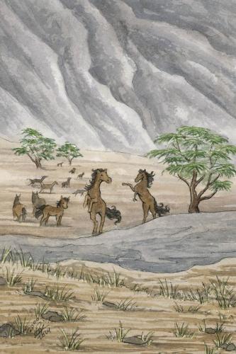 2024 07.08 wildhorses 4x6 web