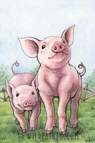 Pigs