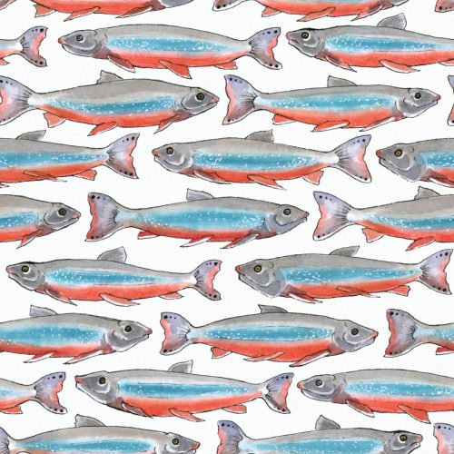 KS26A011 ArcticChar Pattern