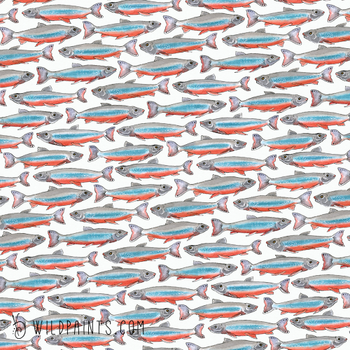 Sample ArcticChar
