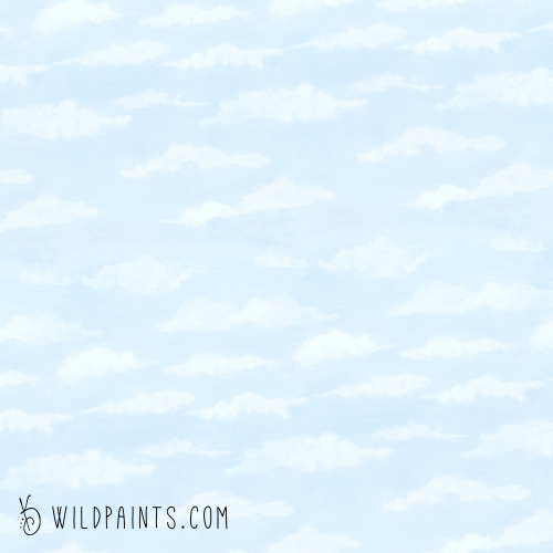 Sample Clouds
