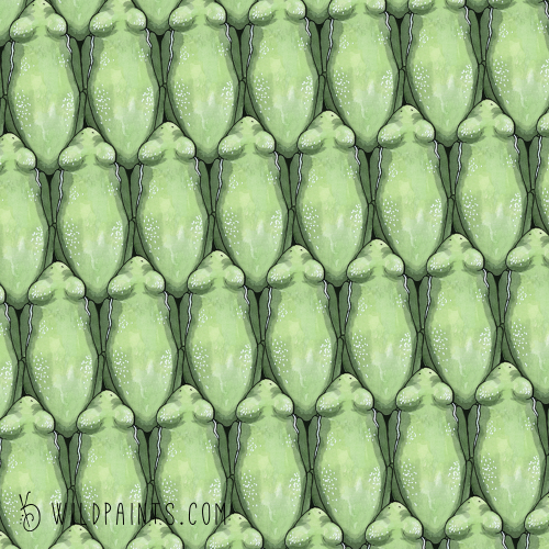 Sample TreeFrogs