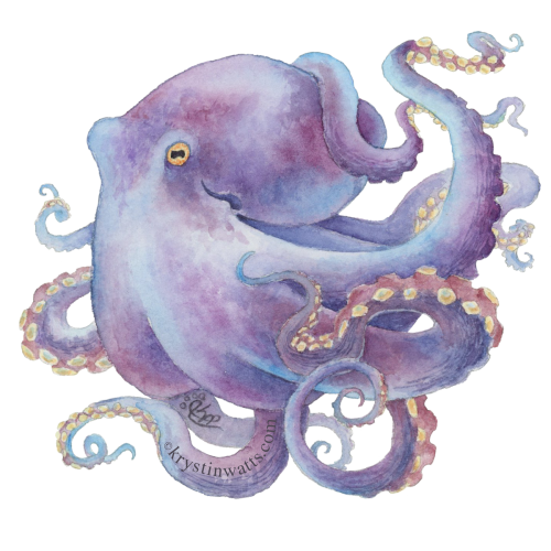 Octopus